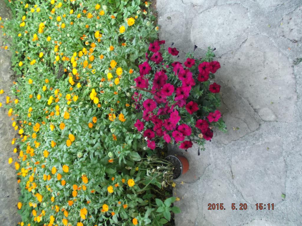 Beyaz Konak Green Garden Hotel Сафранболу Экстерьер фото